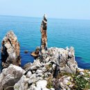 장군족발보쌈 이미지