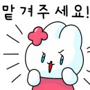 땜므 이미지