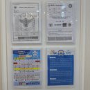 키즈앤맘 어린이전용수영장 | 물 무서워하는 아이의 첫 수영 성공기 | 평택 비전동 어린이 수영장 헬로키즈풀 후기