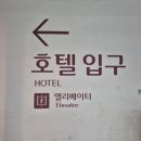 부산시민 위안 잔치 | [부산] 부산 호캉스 추천 &#39;롯데호텔 부산&#39; 주니어 스위트 킹 더블 객실 후기