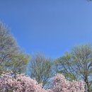 서부대로 이미지