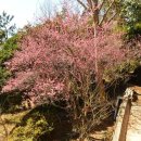 벌교식당 이미지