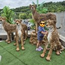 고초골 | 죠이커플의 [고초골낚시터] 24.07.20