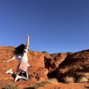 차와 함께 일상으로의 여행 | 해외여행 다니느라 정신없던 10월의 일상