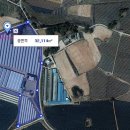 인성리-4 Daum카페