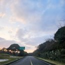 그린필드 | 제주 골프장 투어 그린필드CC 골프라운드 후기