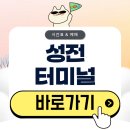 성전하나의원 | 성전터미널 시간표 버스 예매 완벽 정리(2026)