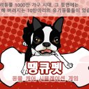 펫프로젝트 이미지