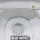 변기 청소 꿀팁 이미지