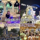 알뜰랜드 | 아이랑 에버랜드 야간입장 6시 후기 19,000원 현장 예매와 필수 동선 꿀팁