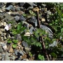 연세화이트산타치과의원 이미지