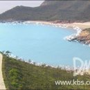 해변의왈츠