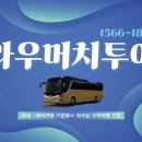 와우머치투어 이미지