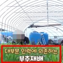 대경애드 이미지