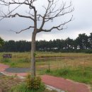 완도해송팬션 이미지