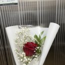 로즈노래주점 - 김해시 분성로 533 | 로즈노래주점
