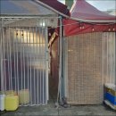 아우네포차 이미지