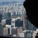 S.M.Korea 이미지