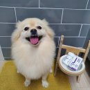 본스테이 이미지