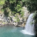 천지연주차장 | 제주 서귀포 10월 여행 제주패스 중문 천제연 천지연폭포 입장료 주차장