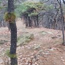 중구봉(276m) 이미지