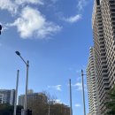 (주)시드니램하우스 | 2. 시드니 산책 코스 (하이드파크, 오페라하우스, 록스마켓, 천문대, Pasta Emilia)