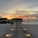 라야요가 | 몰디브 신혼여행 숙소 추천 라야 바이 엣모스피어 후기