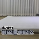 홈사피엔스
