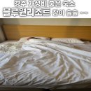 블루원모텔 | 경주 가성비 좋고 꿀잠 보장하는 숙소로 블루원리조트 패밀리 36타입 (4.28-4.30)