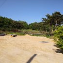 THE큰공인중개사사무소 이미지