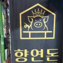 향연돈 | 대전 둔산동 무한리필고기집 향연돈 후기