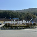 지에스25 영도 태종대점 | 부산 영도 놀거리┃태종대 전망대 다누비열차 군포유람선 이색 데이트 코스 가볼만한곳 내돈내산 후기