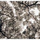 칠보장여관 | 108산사 108배 [13-1] 보경사.오어사 2011.02.25-03/01(3/5)