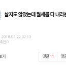 담배집주