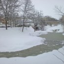 루비콘강을 건넜다. 이미지