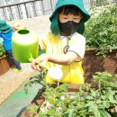 요리랑책이랑 2반 이미지