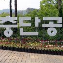 장충단공원 티스토리