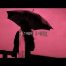 비(雨).............. 이미지