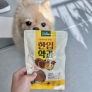 야옹아멍멍해봐 속초점 이미지