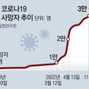 국내 코로나19 누적 사망자 추이 이미지