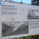 Re: Parker Ridge Trail, Banff National Park 이미지