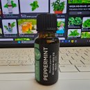 브레인생활건강 이미지