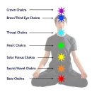 [요가] Yoga &amp; (V)arbecue 비건 요가&amp;바베큐 팝업 후기 1탄 (포지티브미, 휴닉, 온더무브)