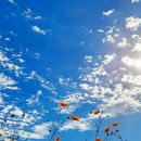 옛날 옛적에 이미지