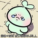 로아PC 이미지
