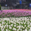 북구 구민운동장 이미지