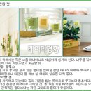웰빙인테리어