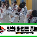 강찬 태권도 이미지