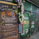 인천 아기랑 갈만한 곳, 먹이주기부터 동물 교감까지! 인천 시흥 실내동물원 쥬벅스 후기