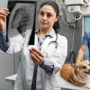 상무동물병원 이미지